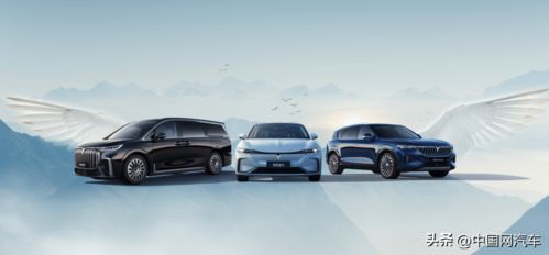 嵐圖汽車銷售總經(jīng)理余飛離職 人事頻繁變動背后的“內(nèi)憂”與銷售雙重挑戰(zhàn)